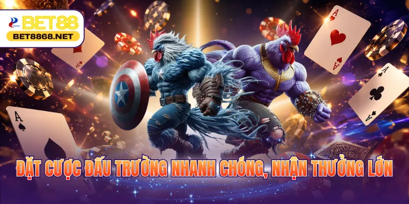 dat cuoc dau truong nhanh chong nhan thuong lon Đặt cược đấu trường nhanh chóng, nhận thưởng lớn